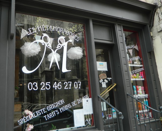 Les Métamorphoses.jpg