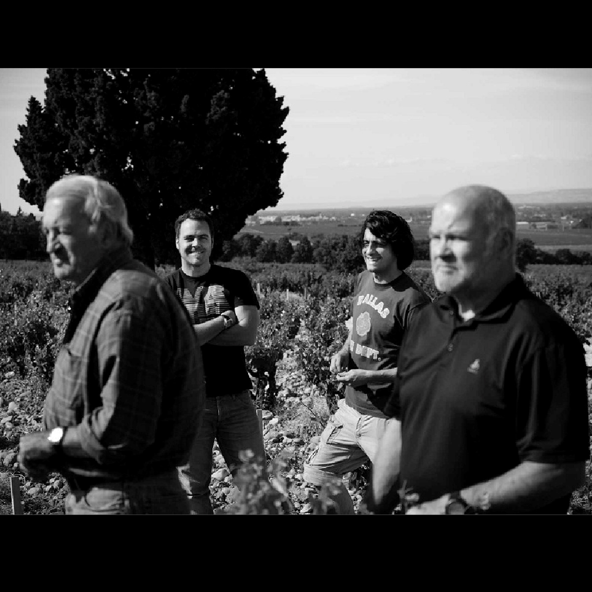 DOMAINE FONT DE MICHELLE