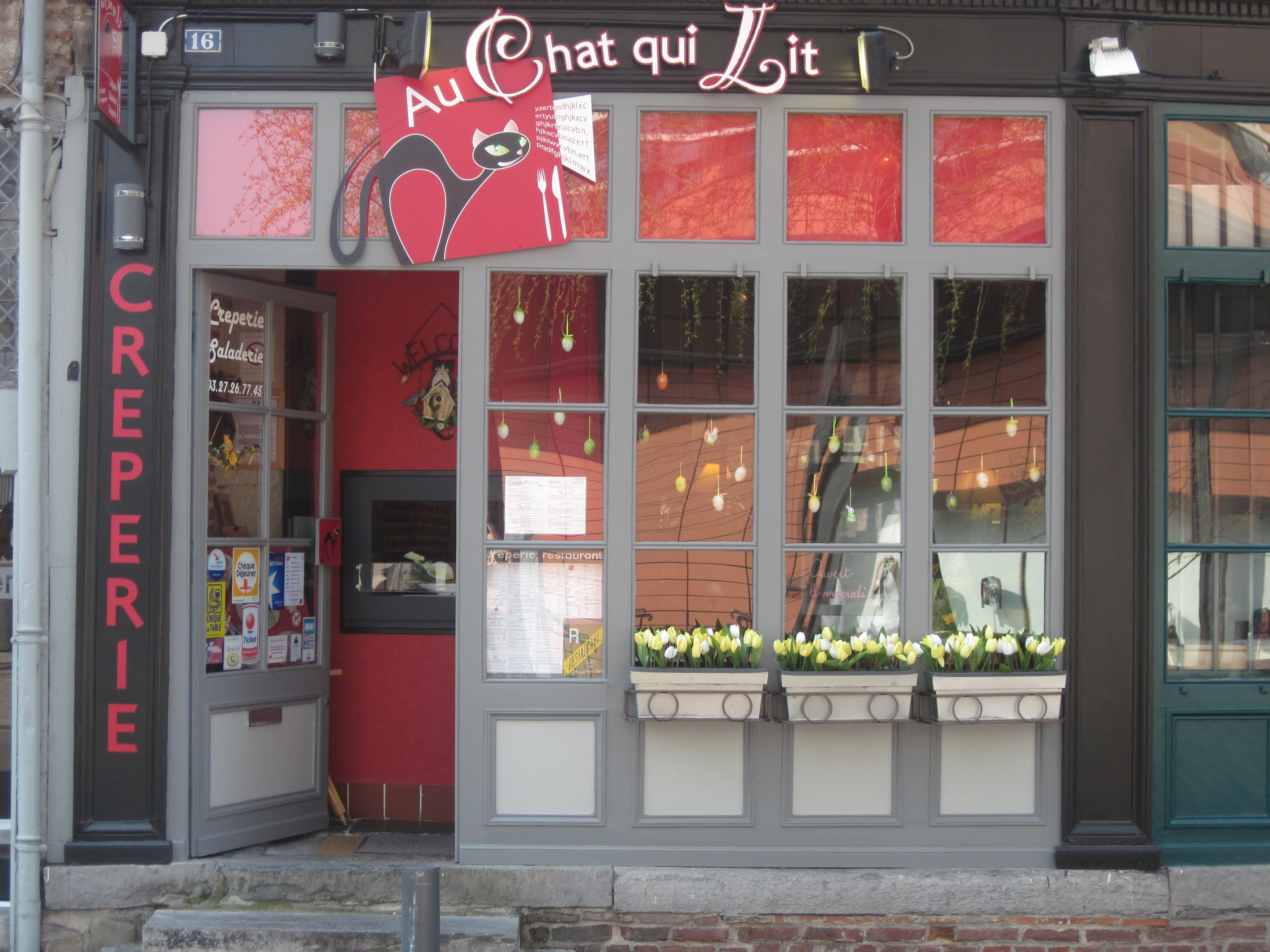 Chat vallauris