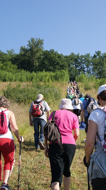 Activités sportives