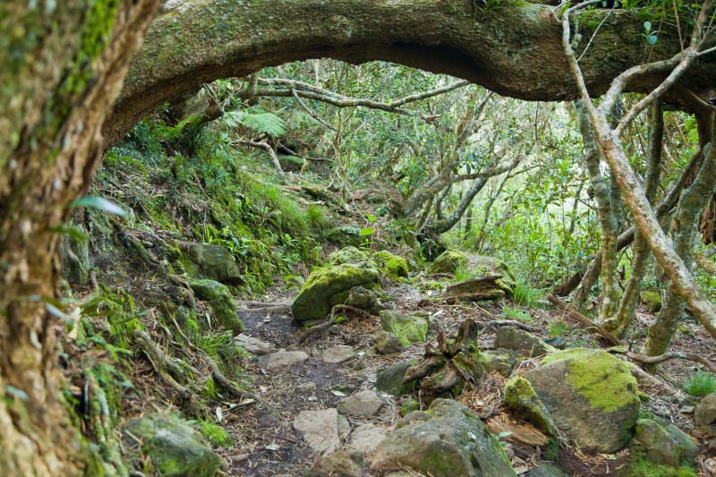 Cilaos Piton Des Neiges Cilaos Île de La Réunion Tourisme