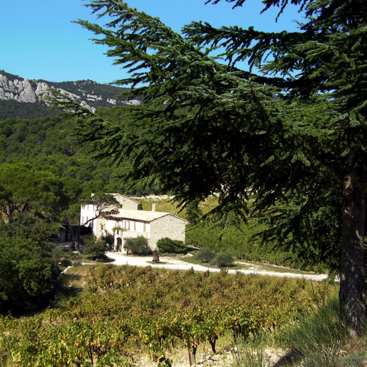 DOMAINE DE CASSAN