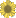 Tournesol