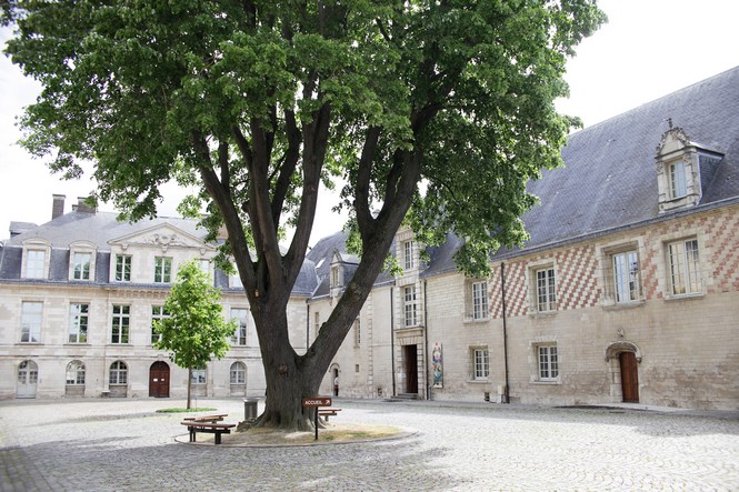 Le Musée d'Art Moderne (donation Lévy)